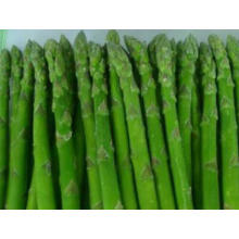 IQF Frozen Green Asparagus Spears/Cuts